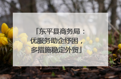 东平县商务局：优服务助企纾困，多措施稳定外贸
