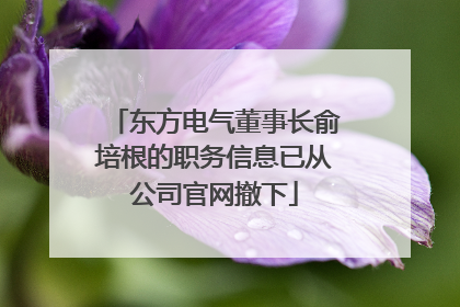 东方电气董事长俞培根的职务信息已从公司官网撤下