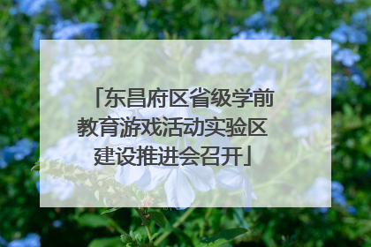 东昌府区省级学前教育游戏活动实验区建设推进会召开