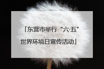 东营市举行“六·五”世界环境日宣传活动
