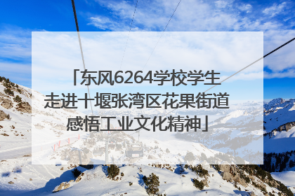 东风6264学校学生走进十堰张湾区花果街道感悟工业文化精神