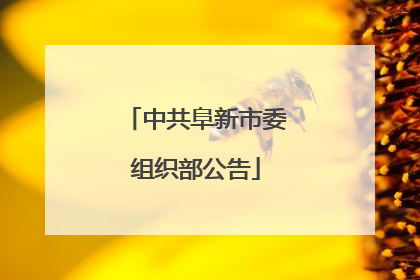 中共阜新市委组织部公告