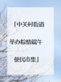 中关村街道举办粽情端午便民市集