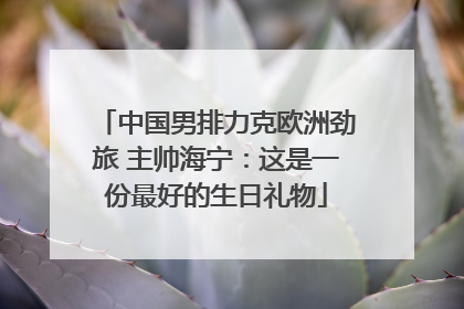 中国男排力克欧洲劲旅 主帅海宁：这是一份最好的生日礼物