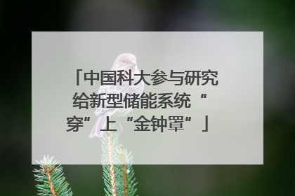 中国科大参与研究 给新型储能系统“穿”上“金钟罩”