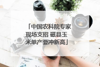 中国农科院专家现场支招 磁县玉米单产要冲新高