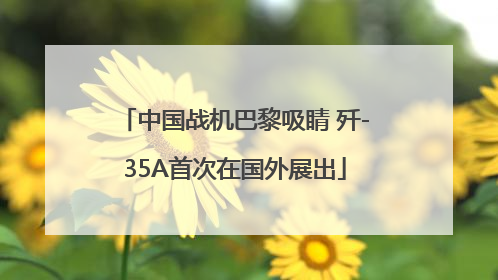 中国战机巴黎吸睛 歼-35A首次在国外展出