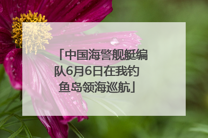 中国海警舰艇编队6月6日在我钓鱼岛领海巡航