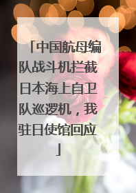 中国航母编队战斗机拦截日本海上自卫队巡逻机，我驻日使馆回应