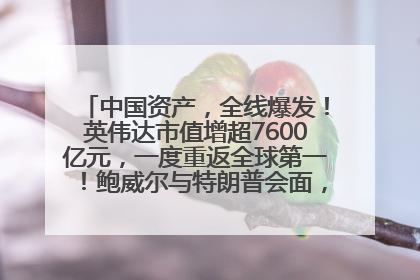 中国资产，全线爆发！英伟达市值增超7600亿元，一度重返全球第一！鲍威尔与特朗普会面，他们聊了什么？