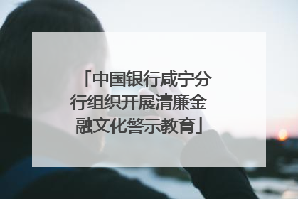 中国银行咸宁分行组织开展清廉金融文化警示教育