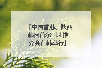 中国香港、陕西·韩国首尔引才推介会在韩举行