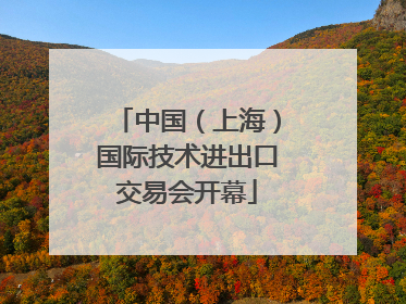 中国（上海）国际技术进出口交易会开幕
