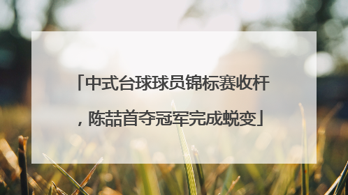 中式台球球员锦标赛收杆，陈喆首夺冠军完成蜕变