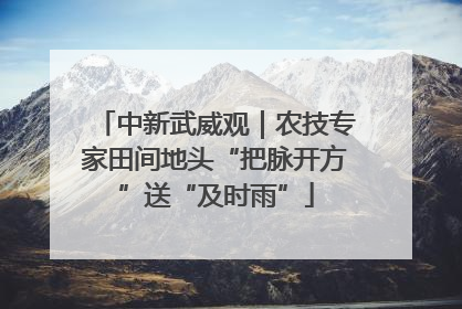 中新武威观｜农技专家田间地头“把脉开方”送“及时雨”