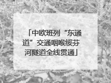 中欧班列“东通道”交通咽喉绥芬河隧道全线贯通
