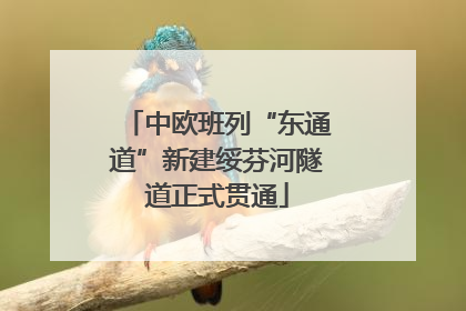 中欧班列“东通道”新建绥芬河隧道正式贯通