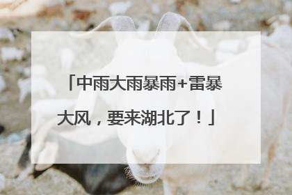中雨大雨暴雨+雷暴大风，要来湖北了！