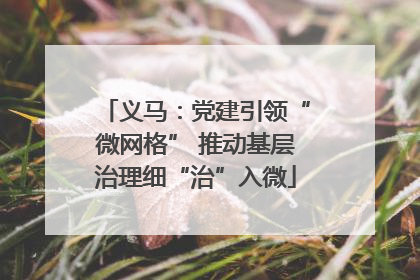 义马：党建引领“微网格” 推动基层治理细“治”入微
