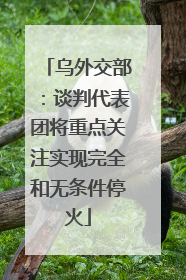 乌外交部：谈判代表团将重点关注实现完全和无条件停火