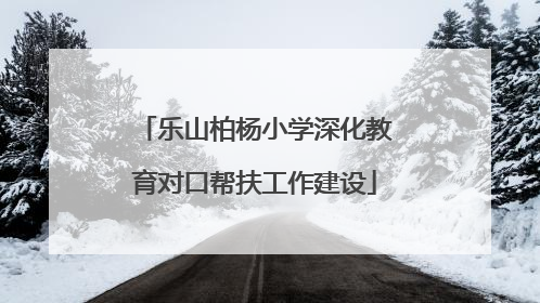 乐山柏杨小学深化教育对口帮扶工作建设