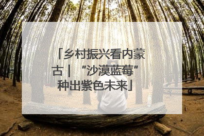 乡村振兴看内蒙古｜“沙漠蓝莓”种出紫色未来