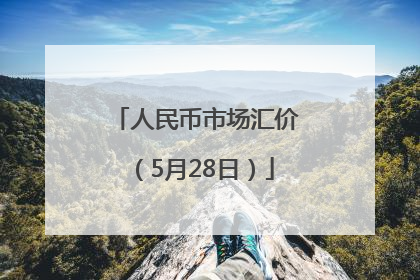 人民币市场汇价（5月28日）