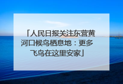 人民日报关注东营黄河口候鸟栖息地：更多飞鸟在这里安家