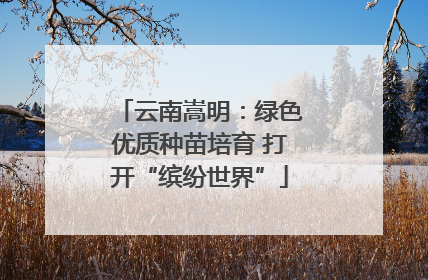 云南嵩明：绿色优质种苗培育 打开“缤纷世界”