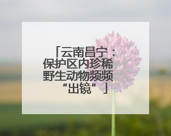 云南昌宁：保护区内珍稀野生动物频频“出镜”