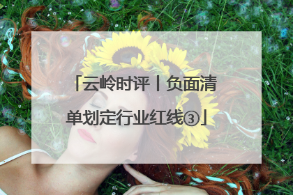 云岭时评丨负面清单划定行业红线③