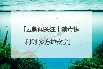 云新闻关注丨禁毒铸利剑 多方护安宁