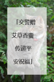 交警赠艾草香囊 传递平安祝福