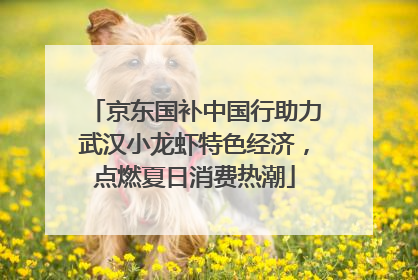 京东国补中国行助力武汉小龙虾特色经济，点燃夏日消费热潮