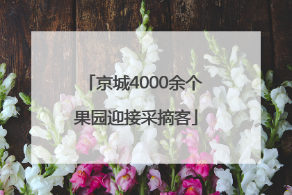 京城4000余个果园迎接采摘客