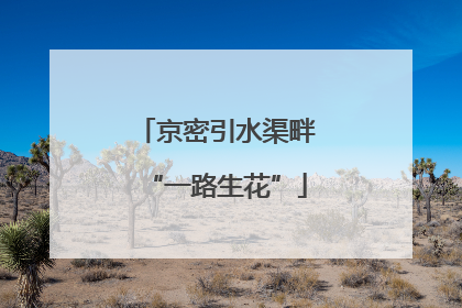 京密引水渠畔“一路生花”