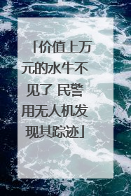 价值上万元的水牛不见了 民警用无人机发现其踪迹