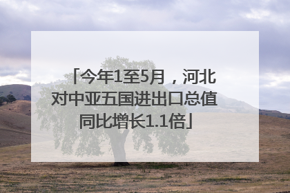 今年1至5月，河北对中亚五国进出口总值同比增长1.1倍