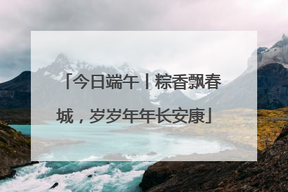 今日端午丨粽香飘春城，岁岁年年长安康