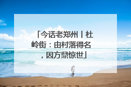今话老郑州丨杜岭街：由村落得名，因方鼎惊世