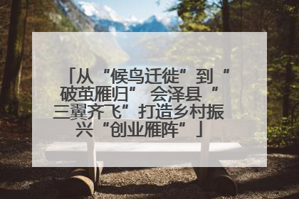从“候鸟迁徙”到“破茧雁归” 会泽县“三翼齐飞”打造乡村振兴“创业雁阵”