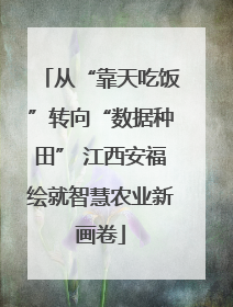 从“靠天吃饭”转向“数据种田” 江西安福绘就智慧农业新画卷