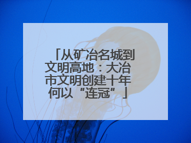 从矿冶名城到文明高地：大冶市文明创建十年何以“连冠”