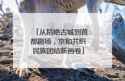 从精绝古城到首都剧场，京和共织民族团结新画卷