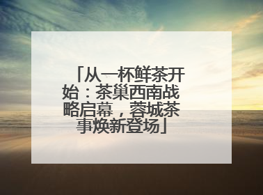 从一杯鲜茶开始：茶巢西南战略启幕，蓉城茶事焕新登场