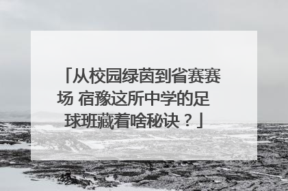 从校园绿茵到省赛赛场 宿豫这所中学的足球班藏着啥秘诀？