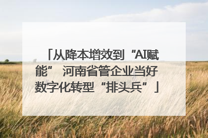 从降本增效到“AI赋能” 河南省管企业当好数字化转型“排头兵”