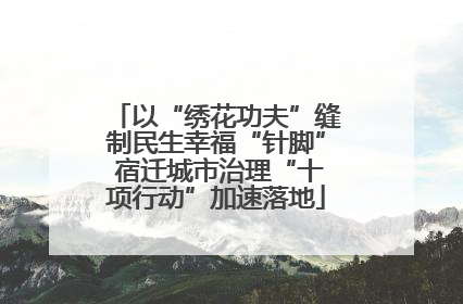 以“绣花功夫”缝制民生幸福“针脚” 宿迁城市治理“十项行动”加速落地
