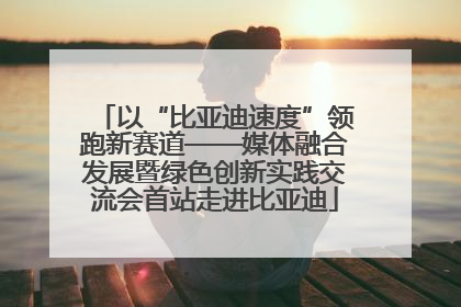 以“比亚迪速度”领跑新赛道——媒体融合发展暨绿色创新实践交流会首站走进比亚迪