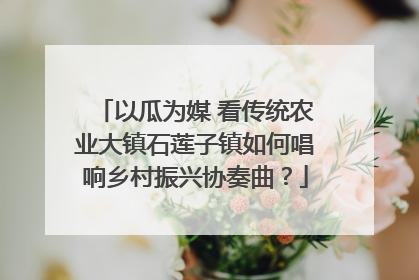 以瓜为媒 看传统农业大镇石莲子镇如何唱响乡村振兴协奏曲？